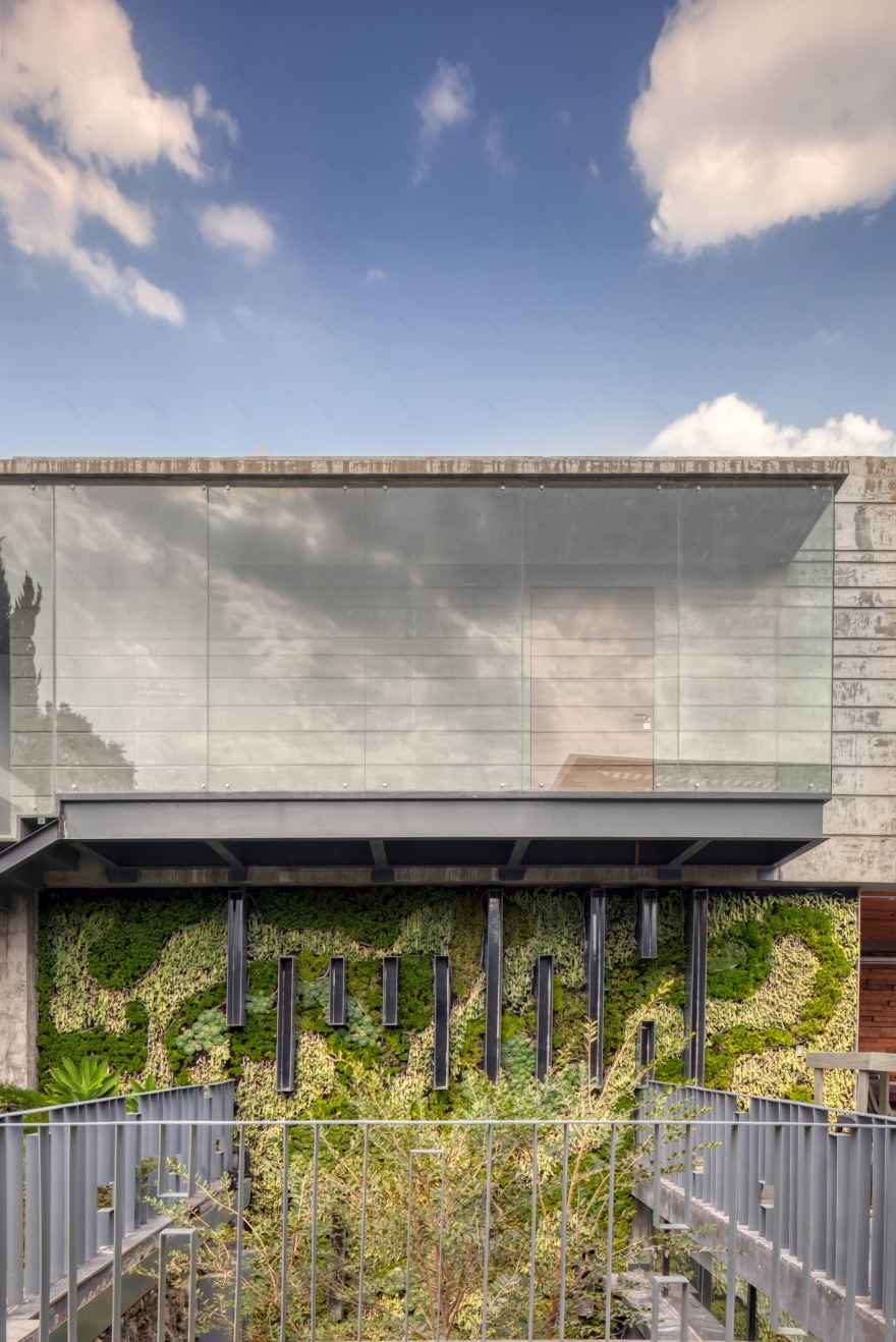 墨西哥 Casa Espejo Verde 垂直花园丨Daniel Gómez Bilbao-0