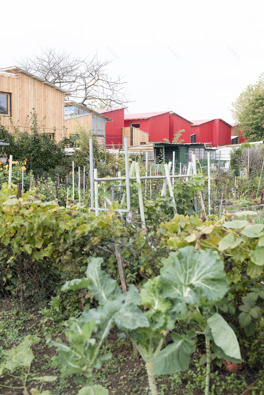 临时居住空间的绿色创新实践——法国 Stains 社区家园项目-7