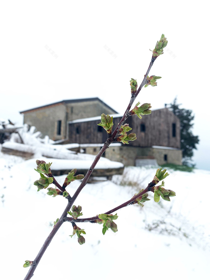 意大利 Kainua 山间住宅丨Ciclostile Architettura-70