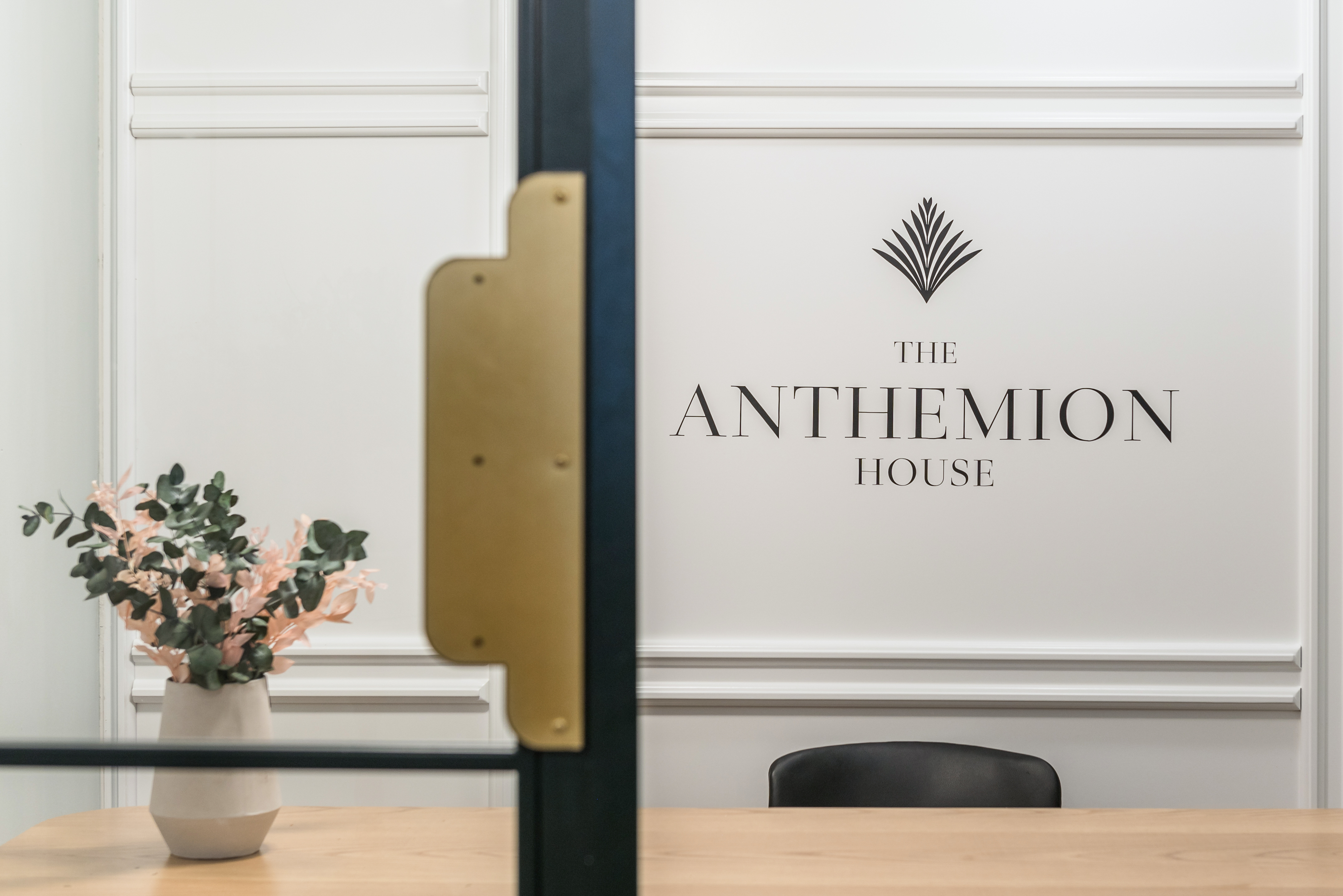 The Anthemion House 酒店设计-6