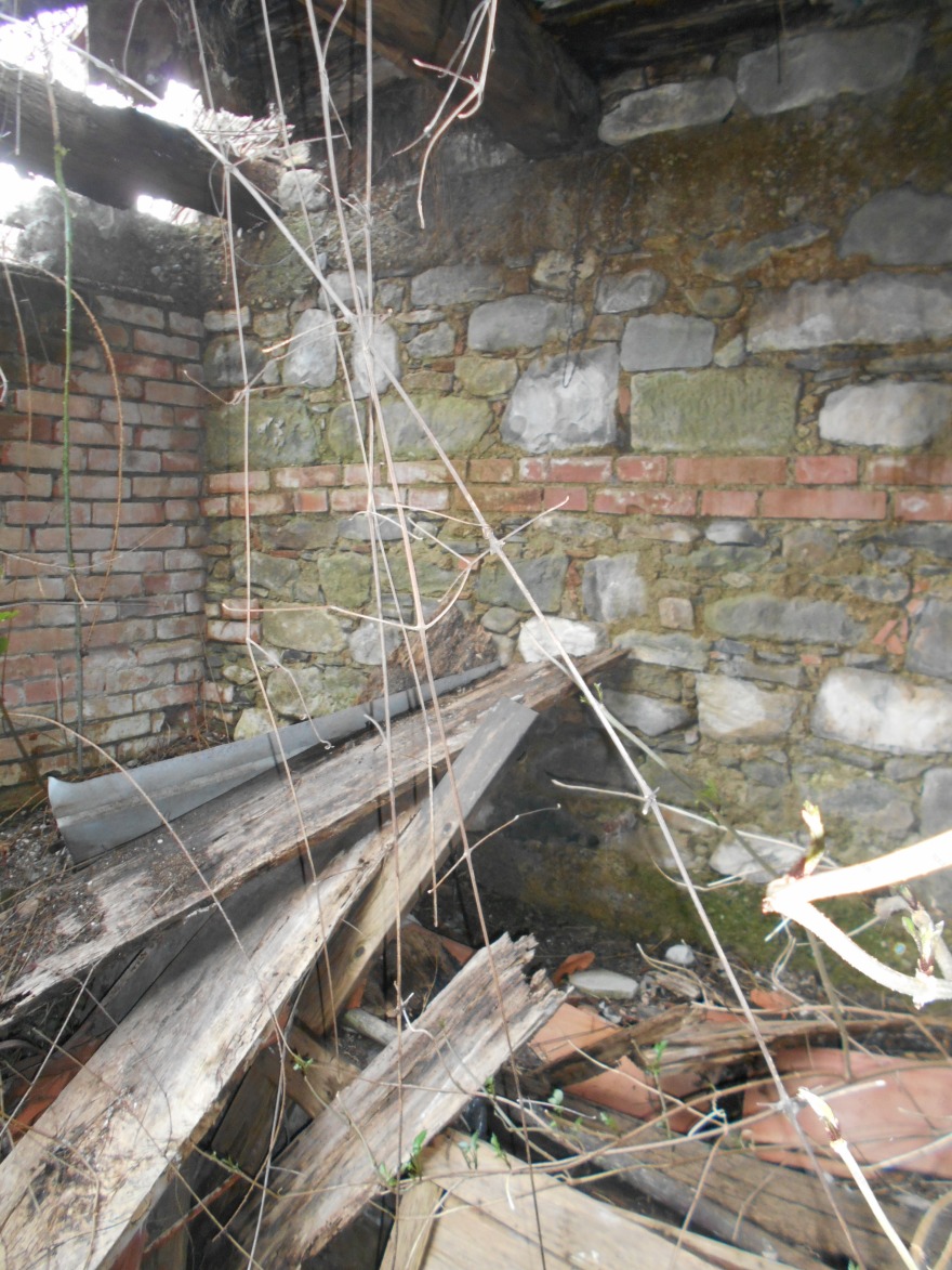 圣弗洛里塔教堂的地震修复-4