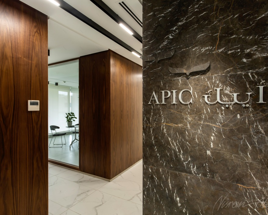 阿拉伯巴勒斯坦投资公司(APIC)-14