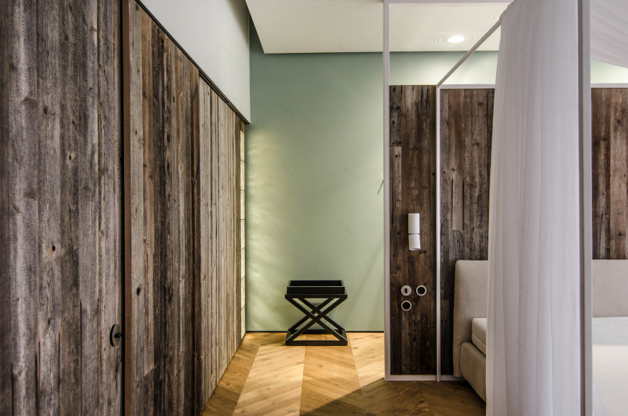 乌克兰公园区的 2000 年代联排别墅重建-3