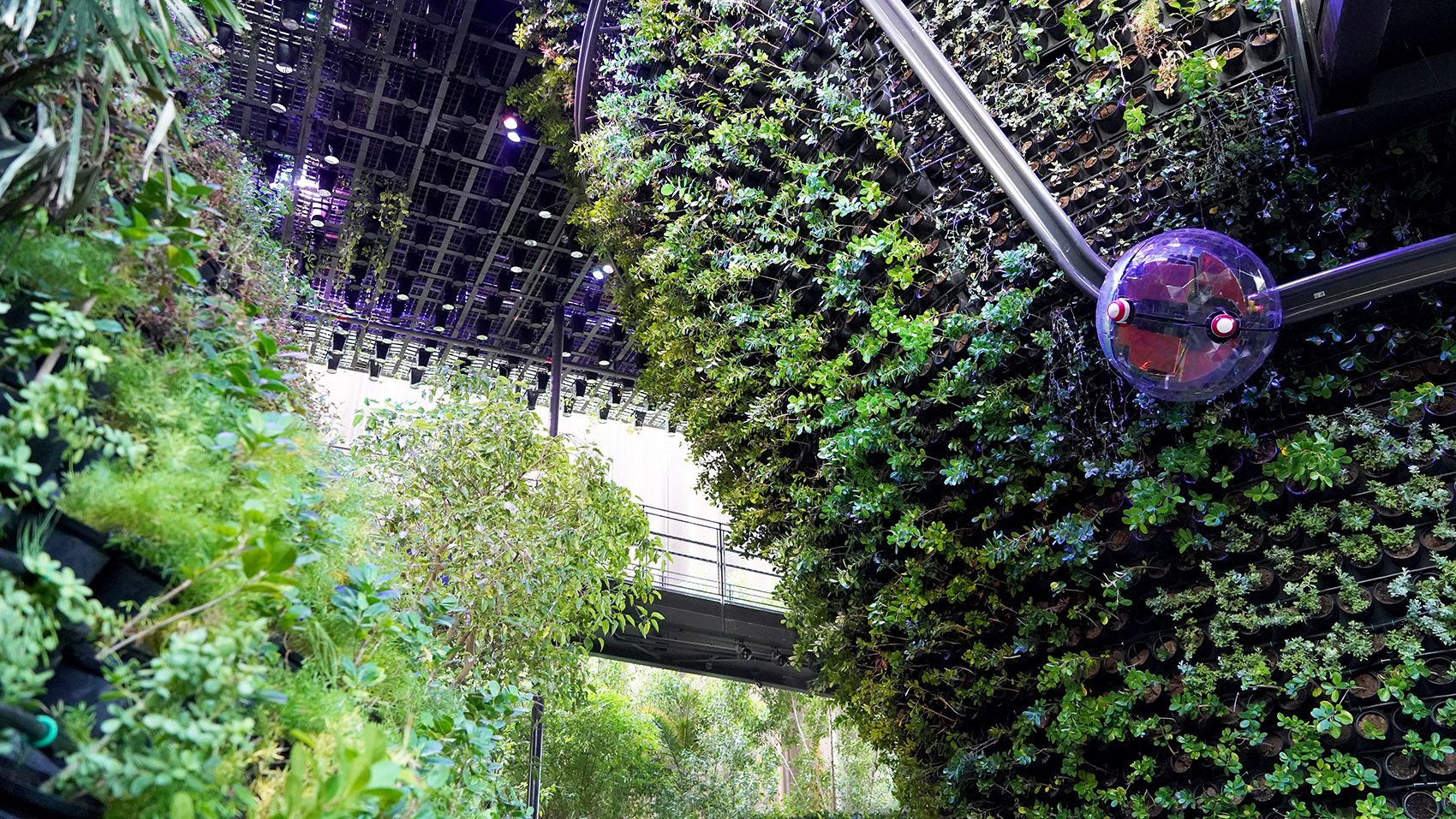 迪拜世博会新加坡馆/沙漠中的可持续绿洲-25