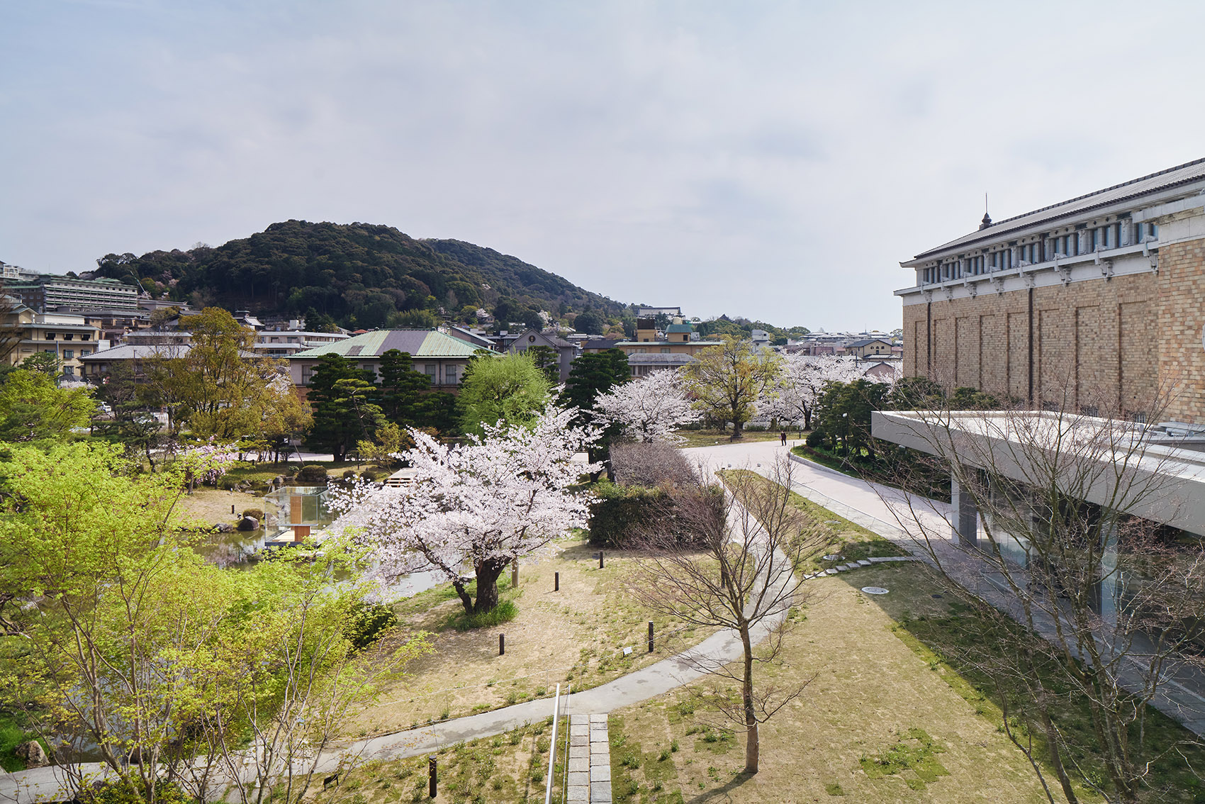 京都市美术馆改造丨日本京都丨青木淳+西泽立卫-103