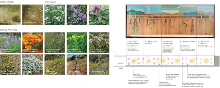 种子银行 | 绿墙新生态-48