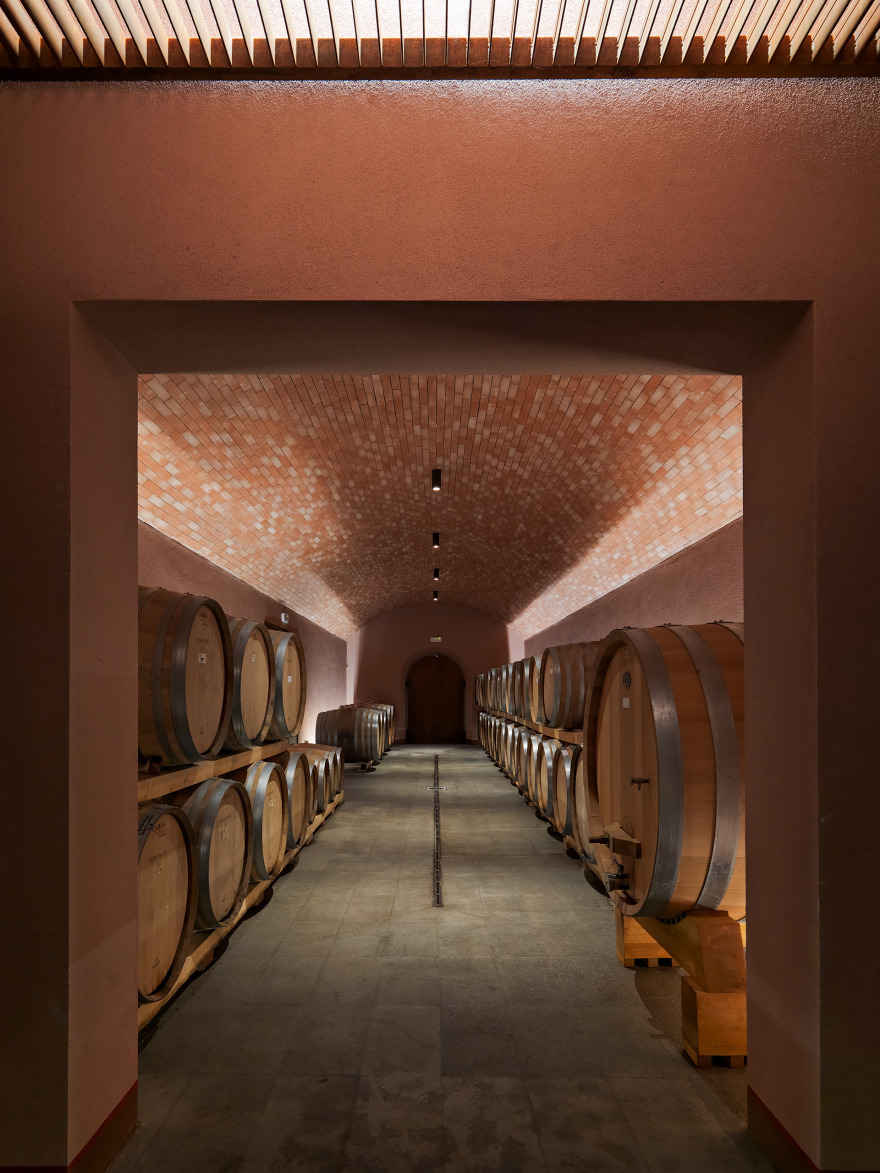 融入田间的酒庄 Cantina dell'azienda La Macinaia-0