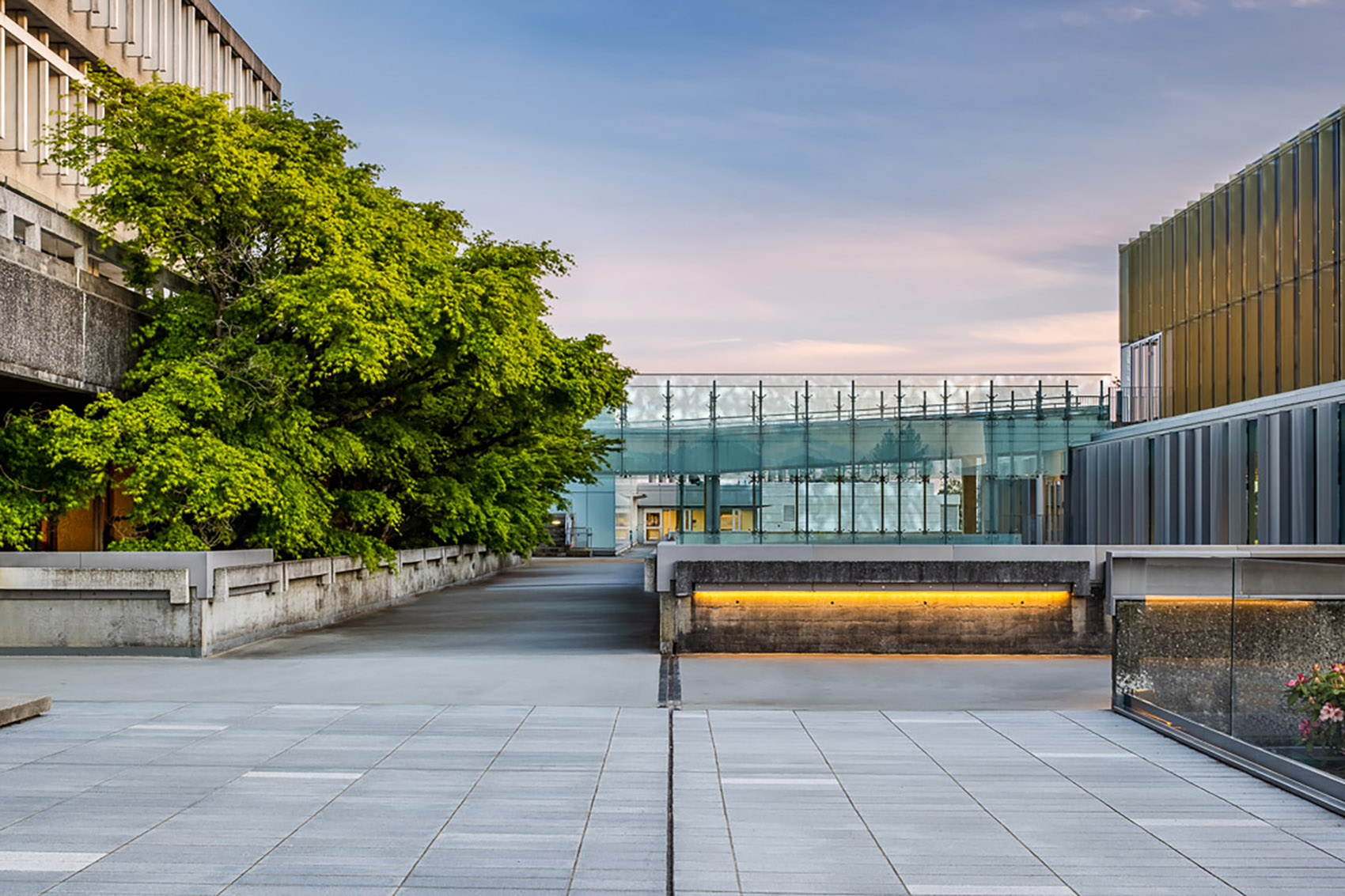 SFU 本拿比校园广场改造丨加拿大丨多家设计事务所-63