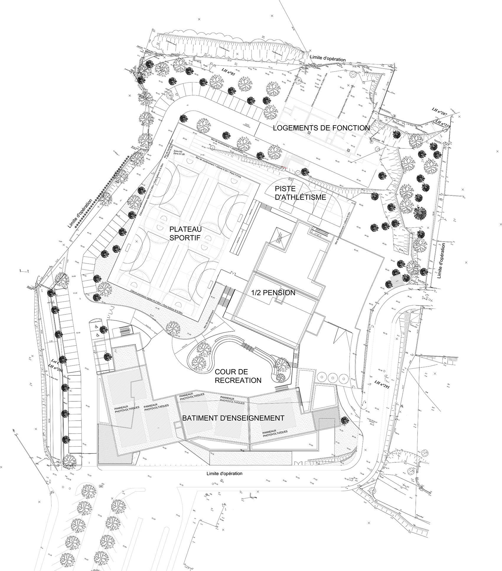 Ada Lovelace中学/有机、环保的设计和运作方式-36