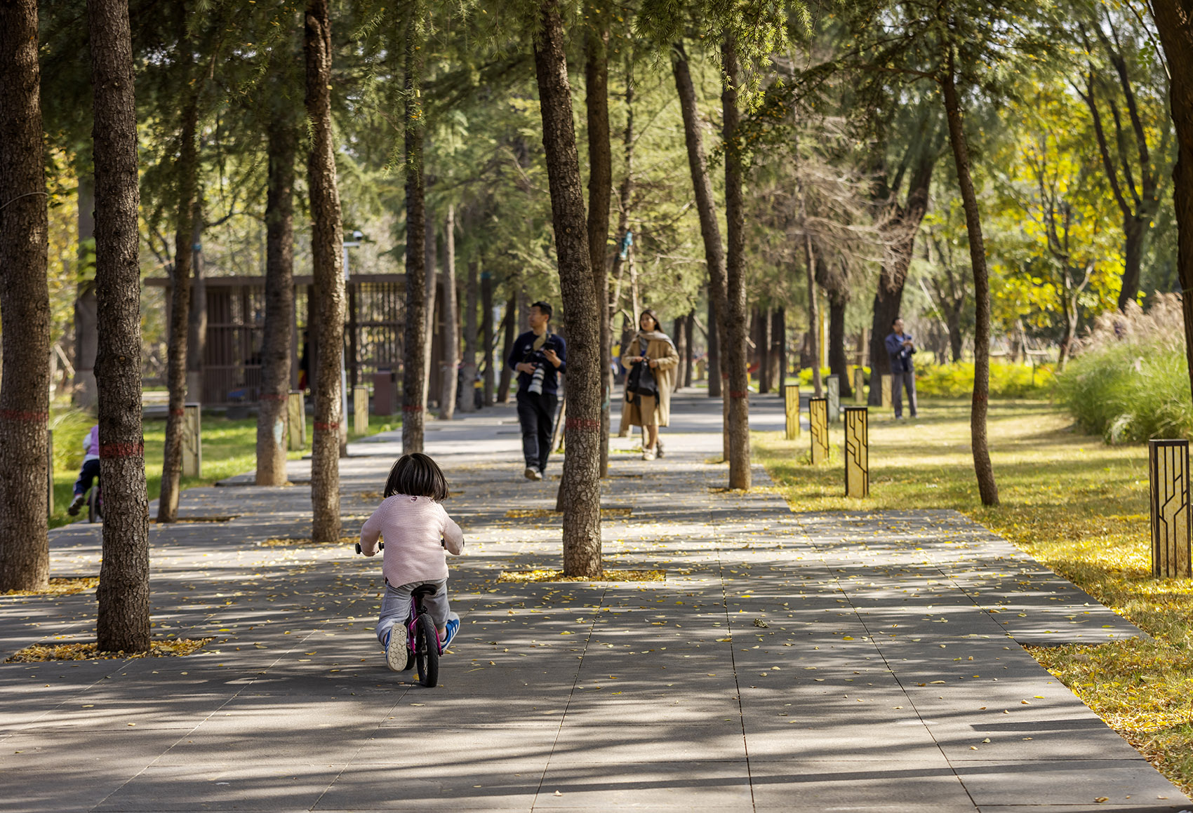 郑州古树苑公园一期景观提升，河南/老树的新生-77
