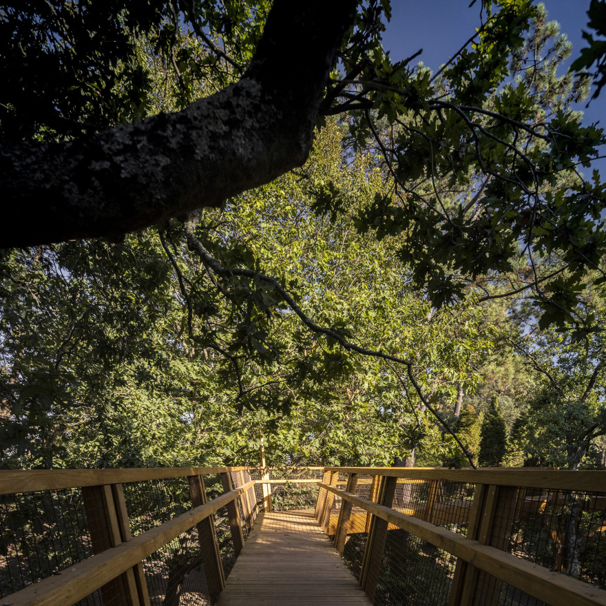 赛拉维斯公园树冠步道丨葡萄牙波尔图丨卡洛斯·卡斯塔涅拉建筑事务所-19