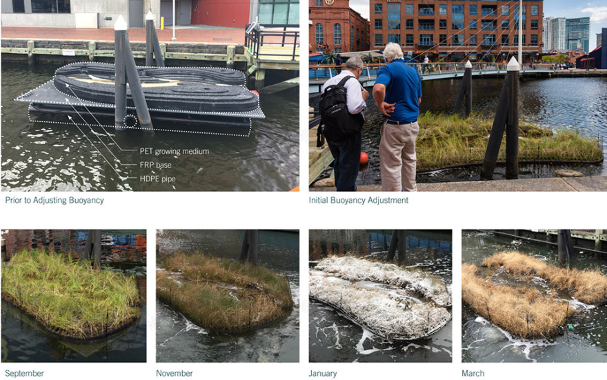 马里兰州漂浮湿地 | 新型技术助力可持续生态恢复-58