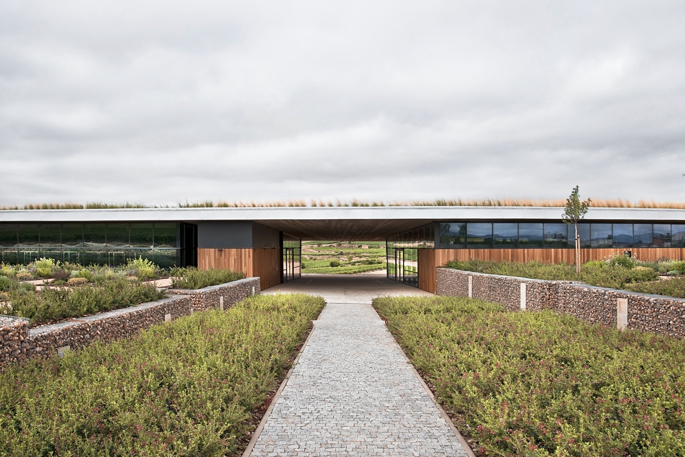 博德加里亚诺酒庄丨西班牙丨暂无-2