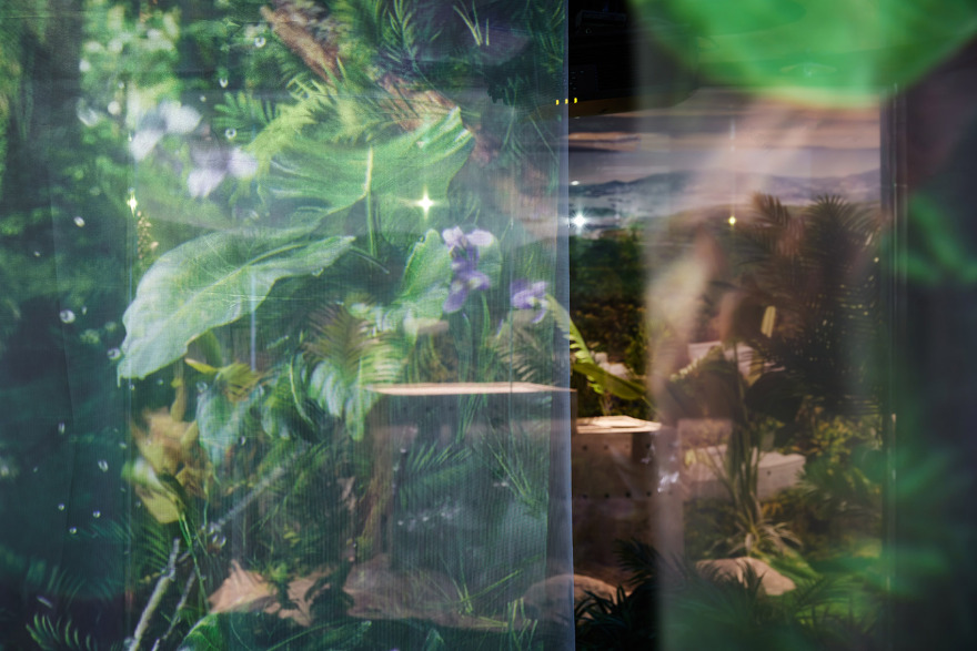 小仙炖鲜炖燕窝北京旗舰店丨中国北京丨立品设计-46