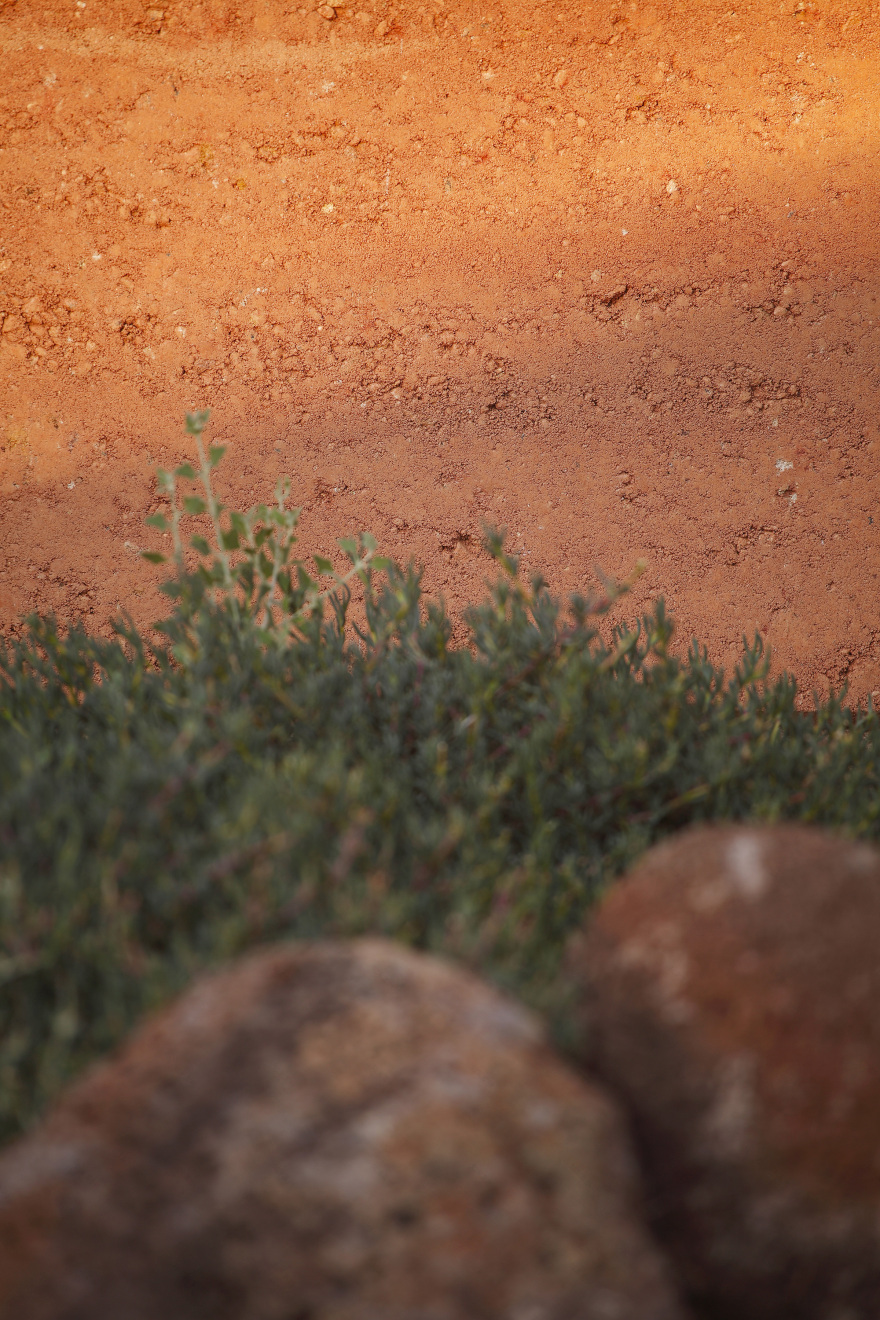 绿星设计典范,澳洲 Amaroo 环保教育中心-3