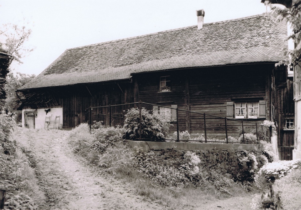 Buechberg山坡住宅，瑞士/历史保护建筑改造为两个居住单元-7
