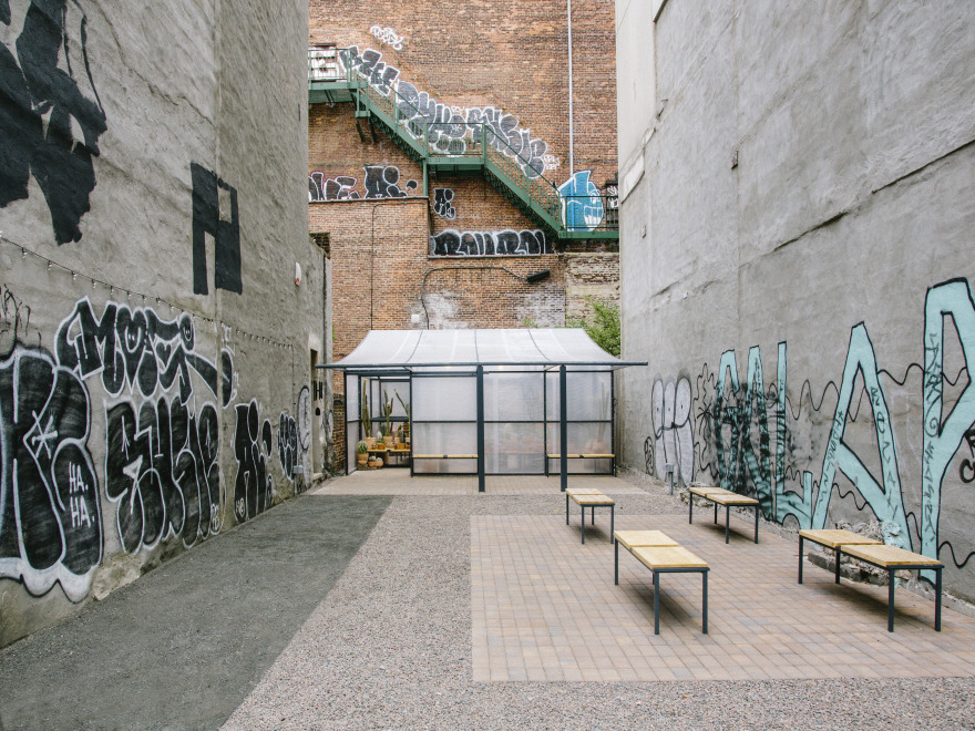 洛杉矶仙人掌商店-1