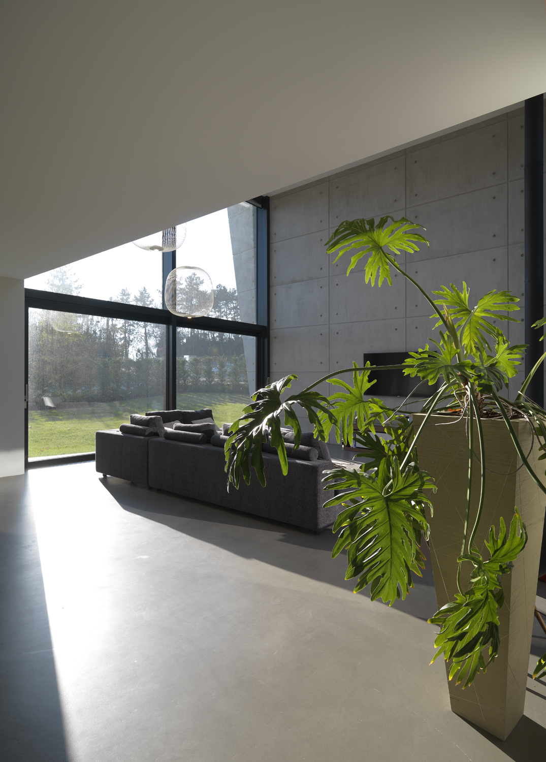 悬浮森林中的透明别墅-93