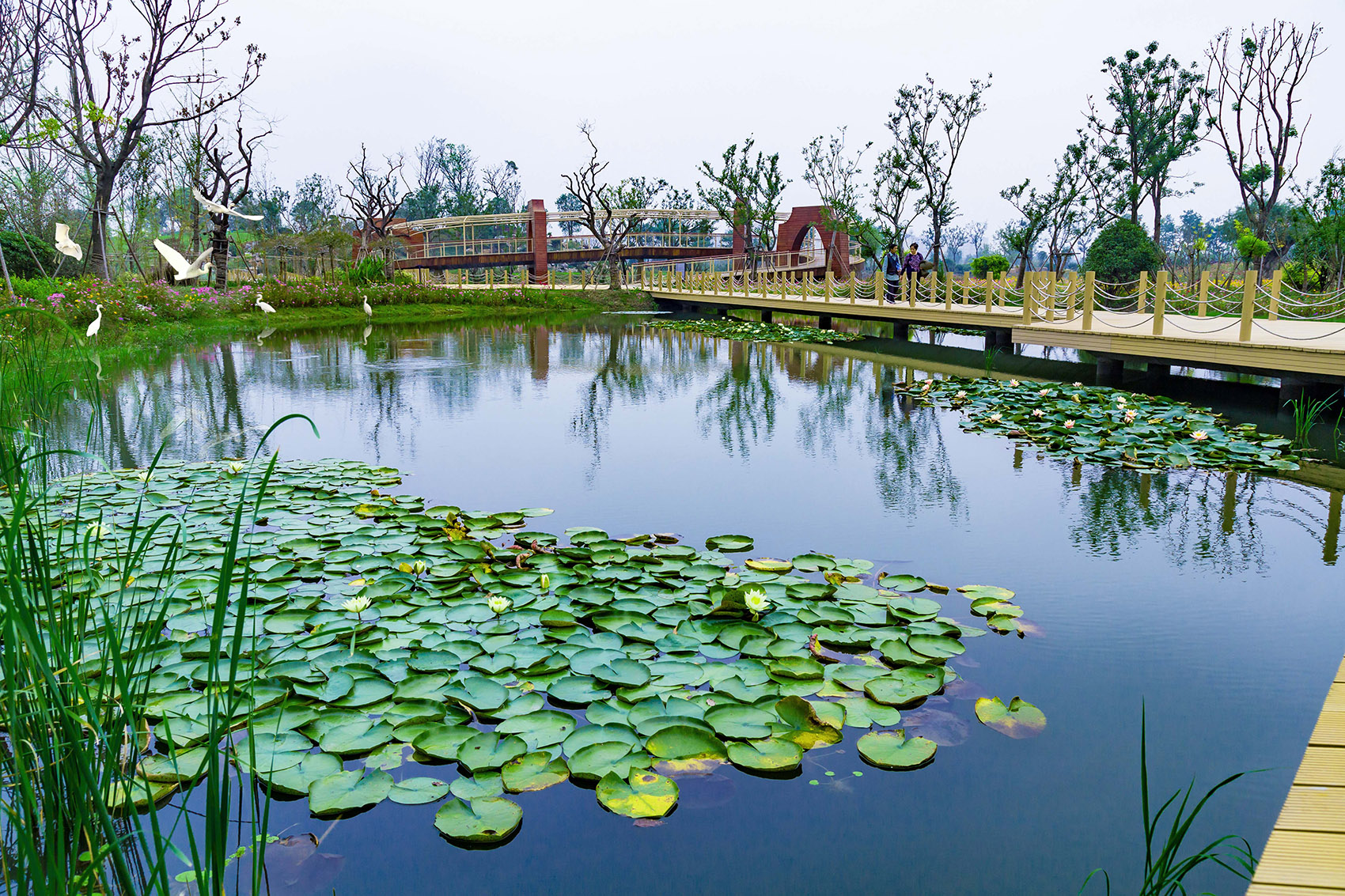 扬州三湾生态中心，江苏/扬州的后瘦西湖时代-89