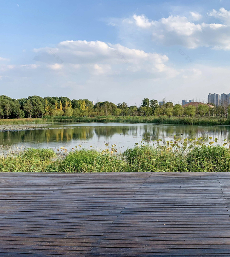 昆山森林公园西入口-47