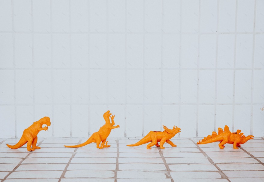 盐城戈蒂洛尼家族美食之旅-21