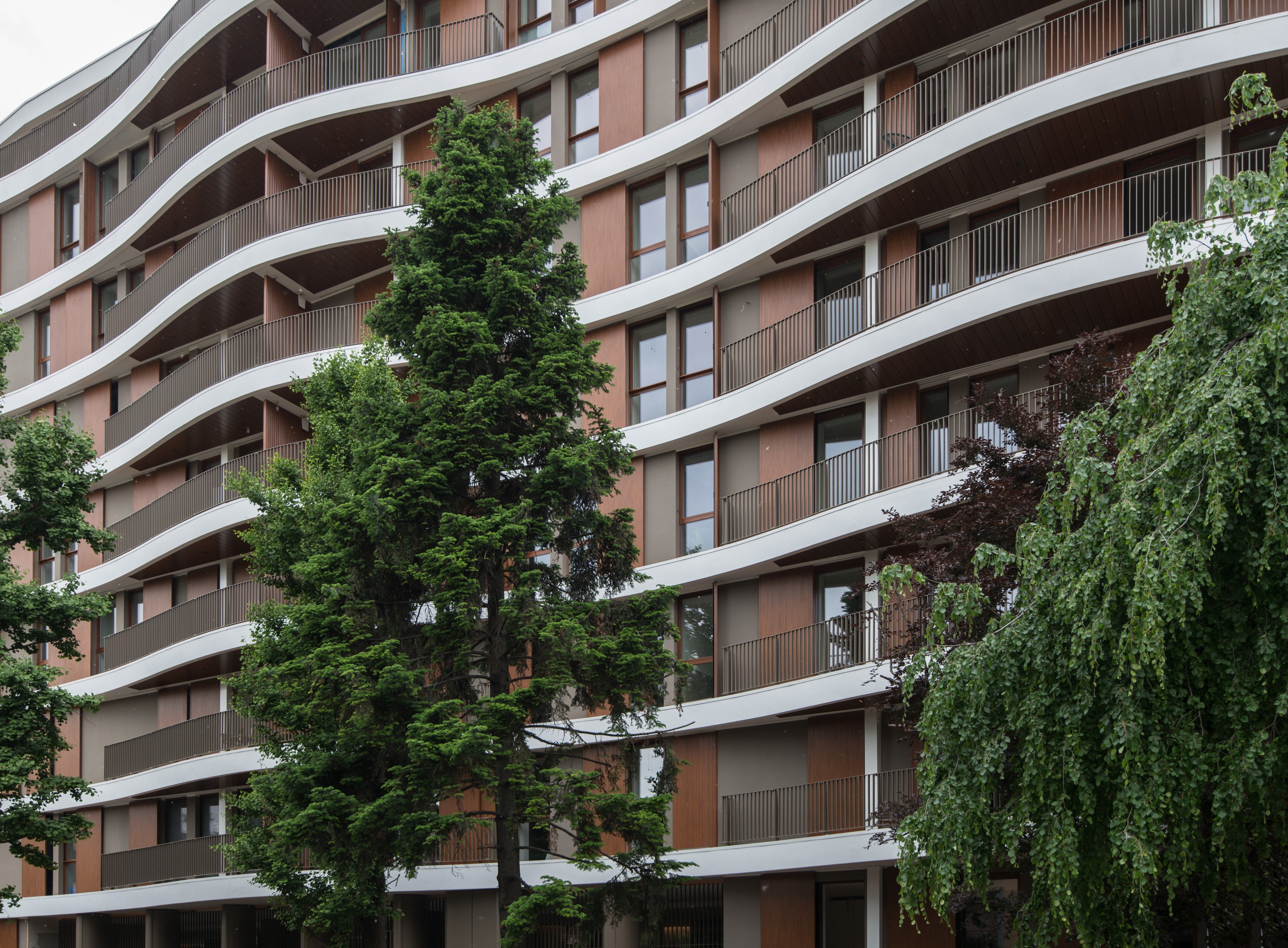 阿尔塞里奥 10-3