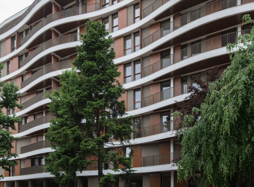 阿尔塞里奥 10-3