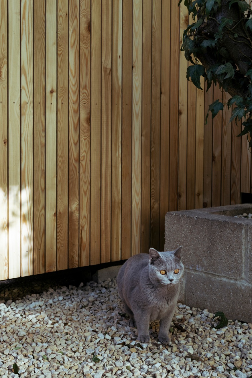 十九世纪维多利亚式排屋后花园改造丨英国伦敦-16