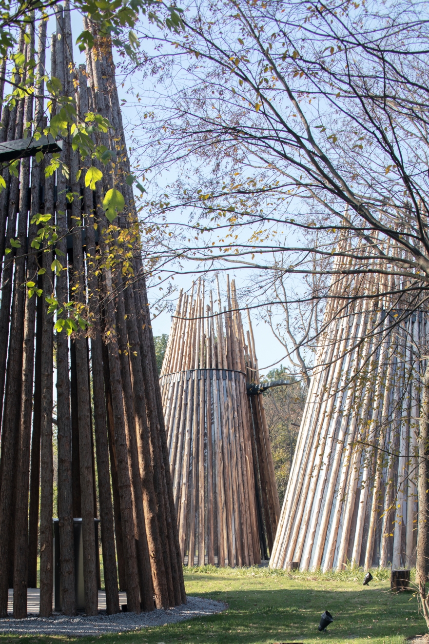 森林中的森林——溧阳杨湾游客中心-11