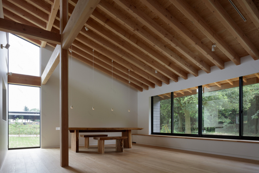 樱花下的周末别墅-15