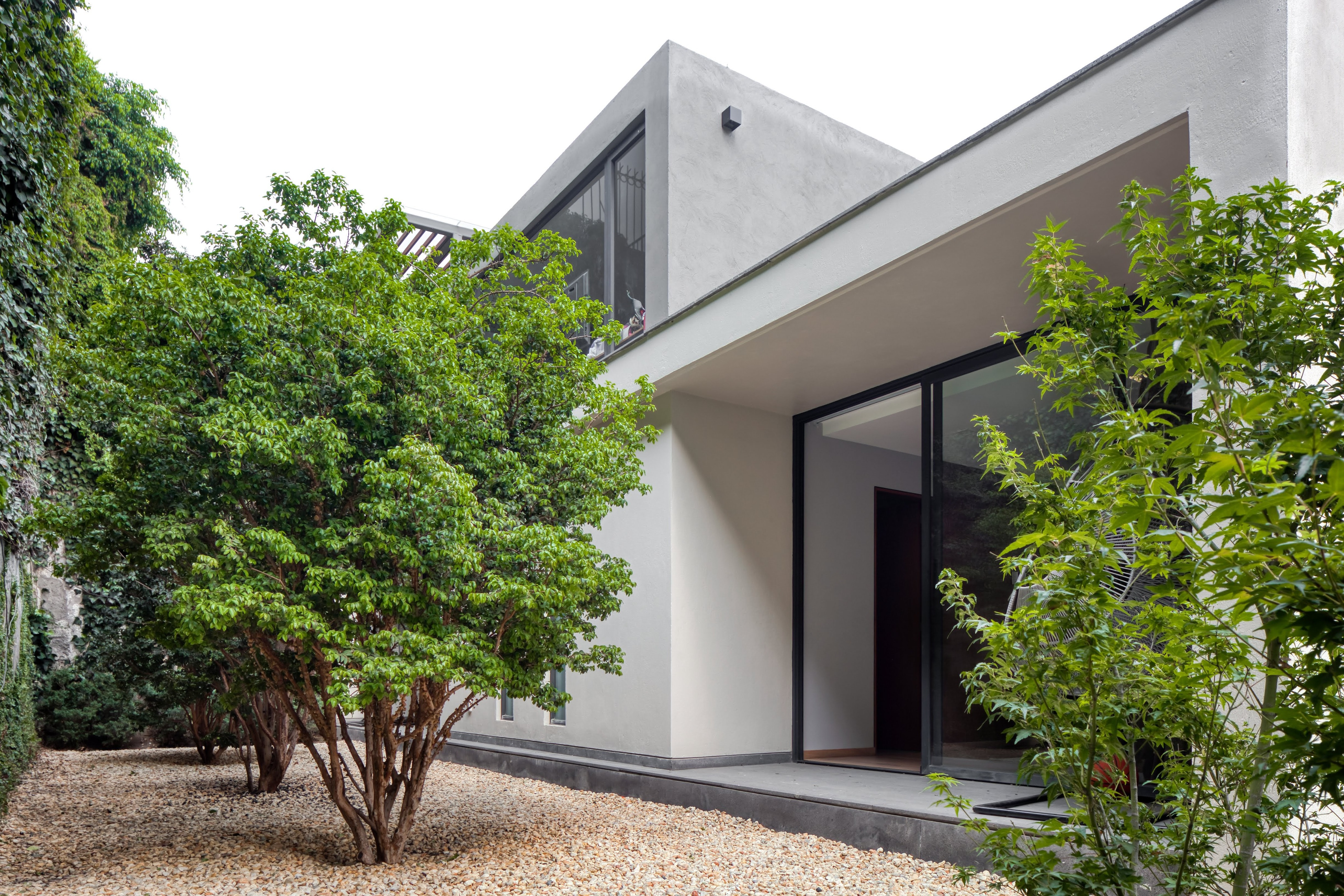 墨西哥 Casa Espejo Verde 垂直花园丨Daniel Gómez Bilbao-3