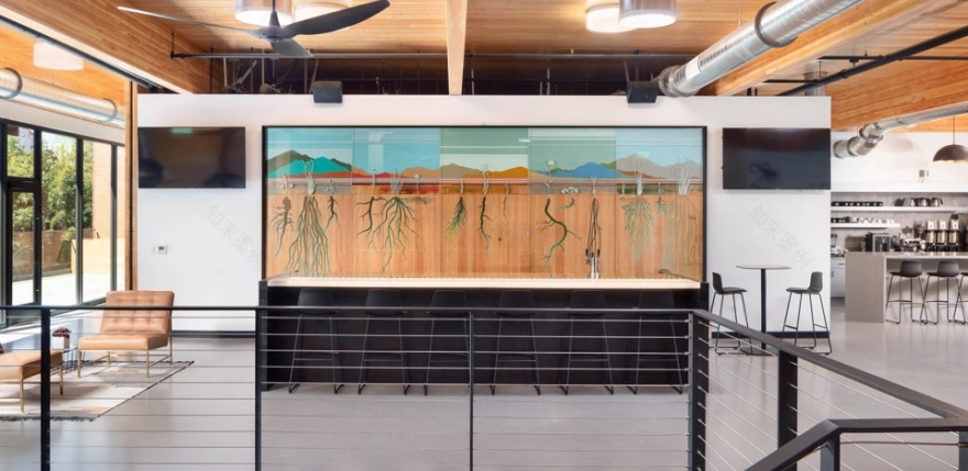 种子银行 | 绿墙新生态-36