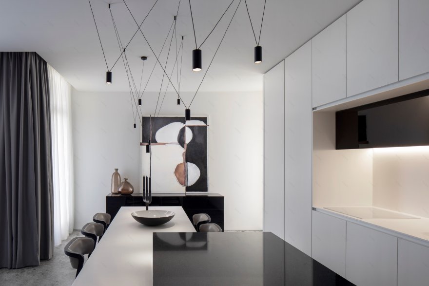 极简黑白公寓,功能与美学的完美融合-4