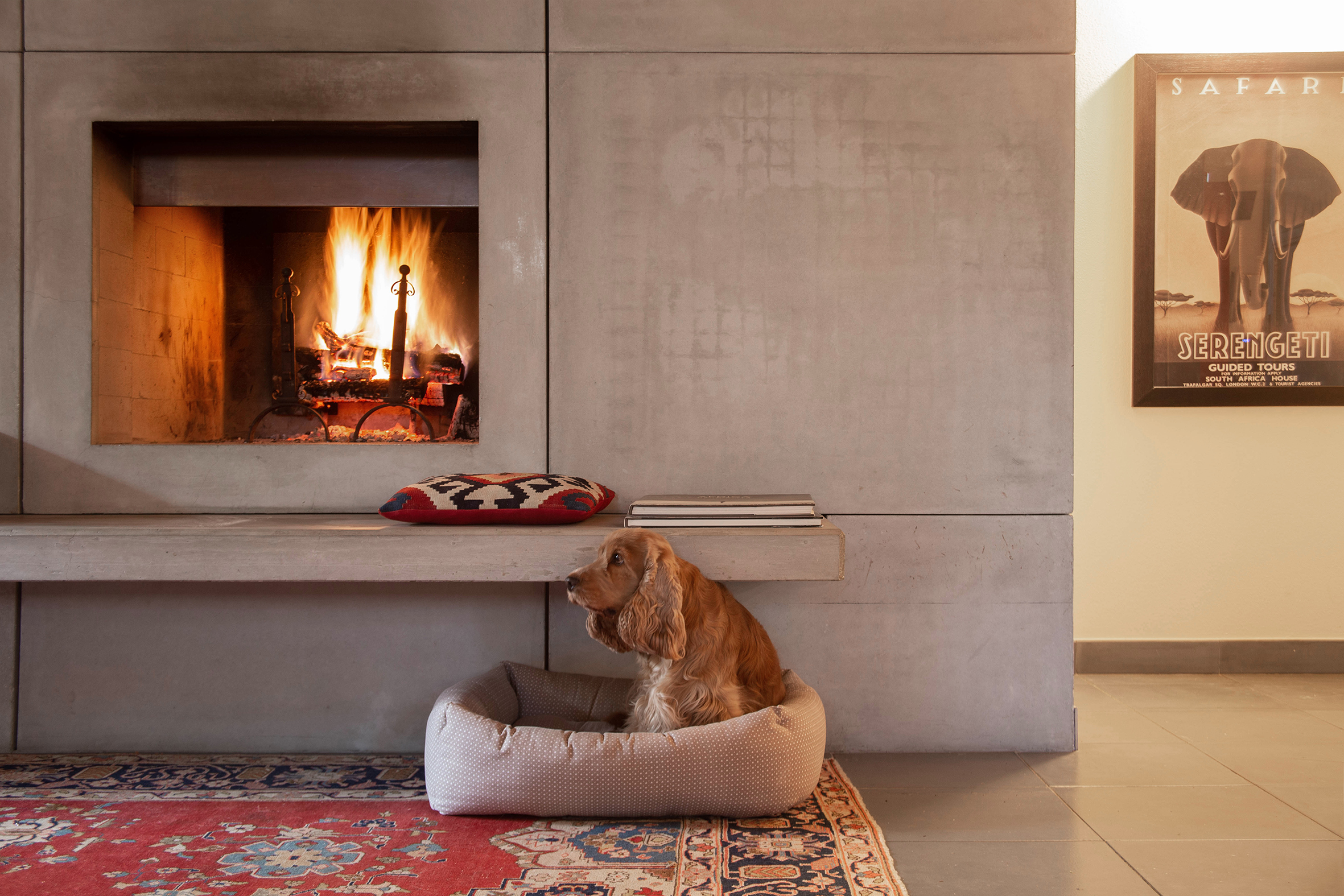 意大利 Ravenna 自行车零件工厂改造住宅-3