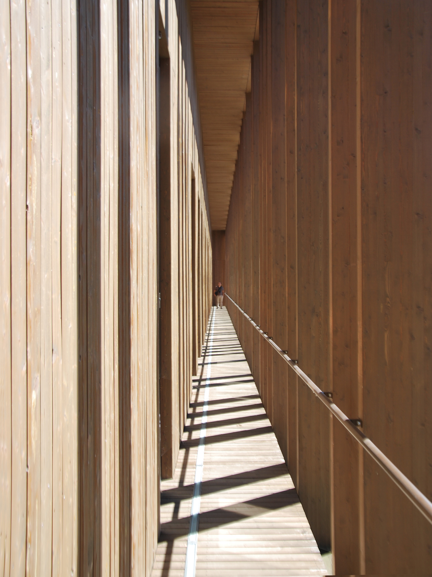 翁布里亚和马尔凯实验动物卫生研究所-12