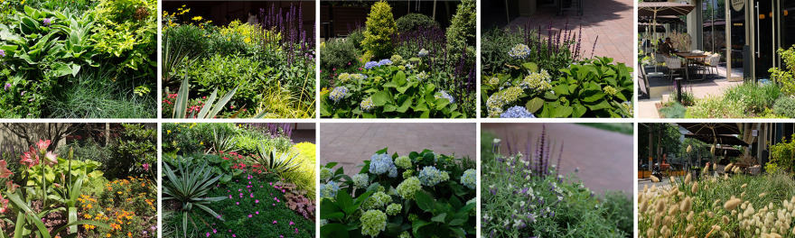 恒基·旭辉新天地The Roof丨中国上海-97