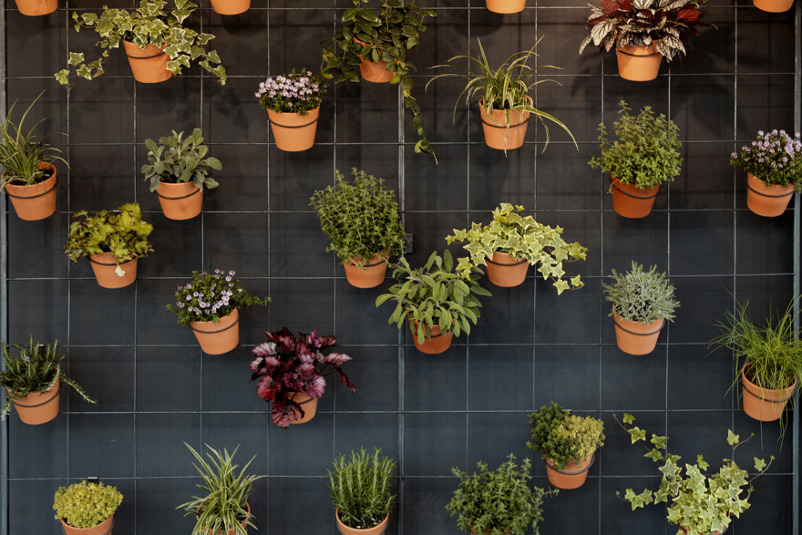 绿意盎然,连接内外的西餐厅设计-5