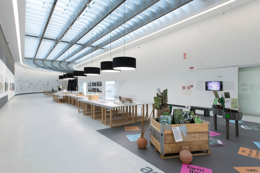 世界上的匙食-12