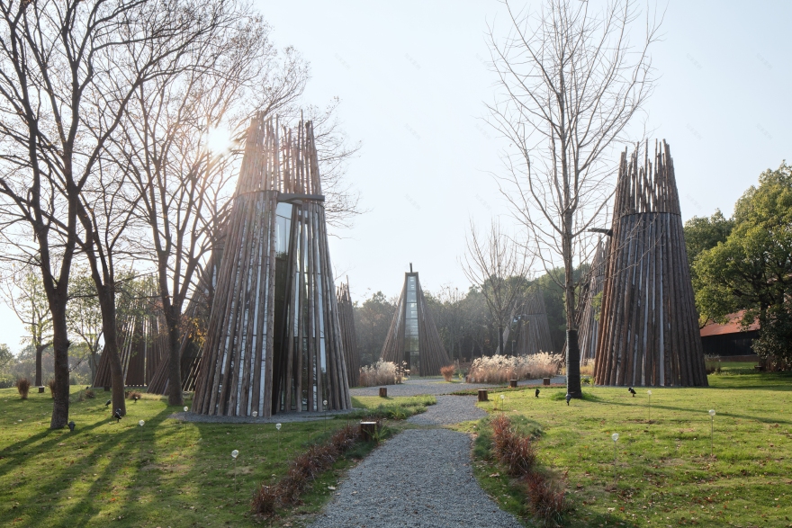 森林中的森林——溧阳杨湾游客中心-6