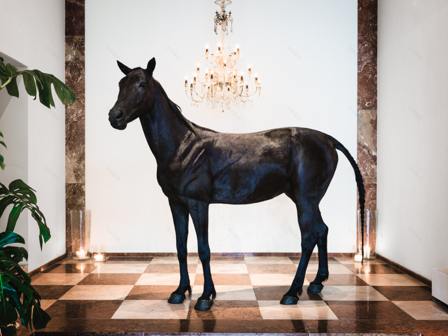 维也纳"Grand Ferdinand"酒店——传统与创新的完美结合-12