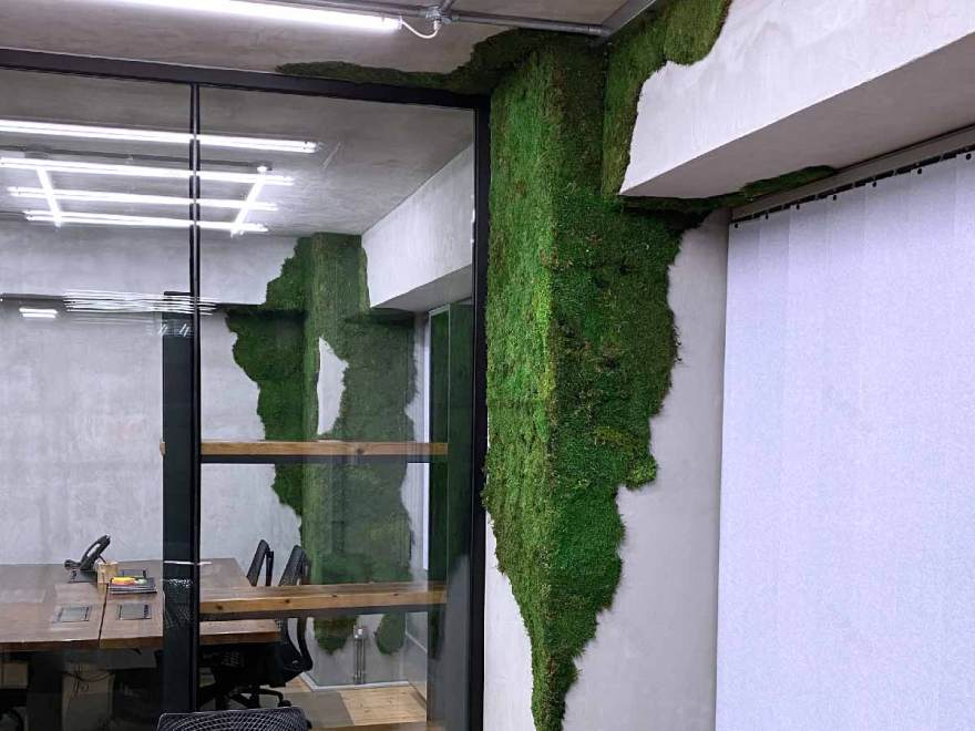 皇家松树与垂直花园的绿色办公空间-4
