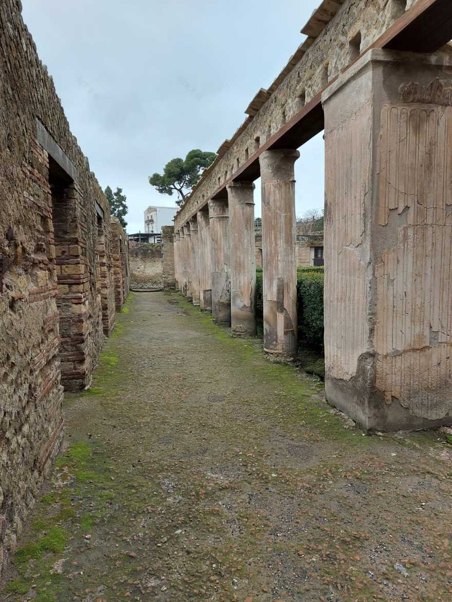 用于消除考古公园建筑障碍的钢琴-0