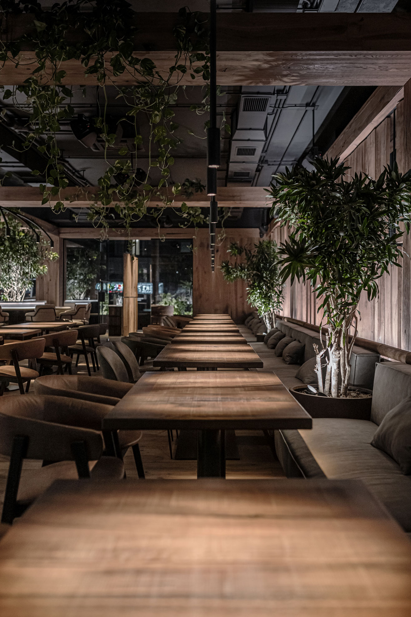 Par Bar³ 西餐厅丨YODEZEEN architects-24