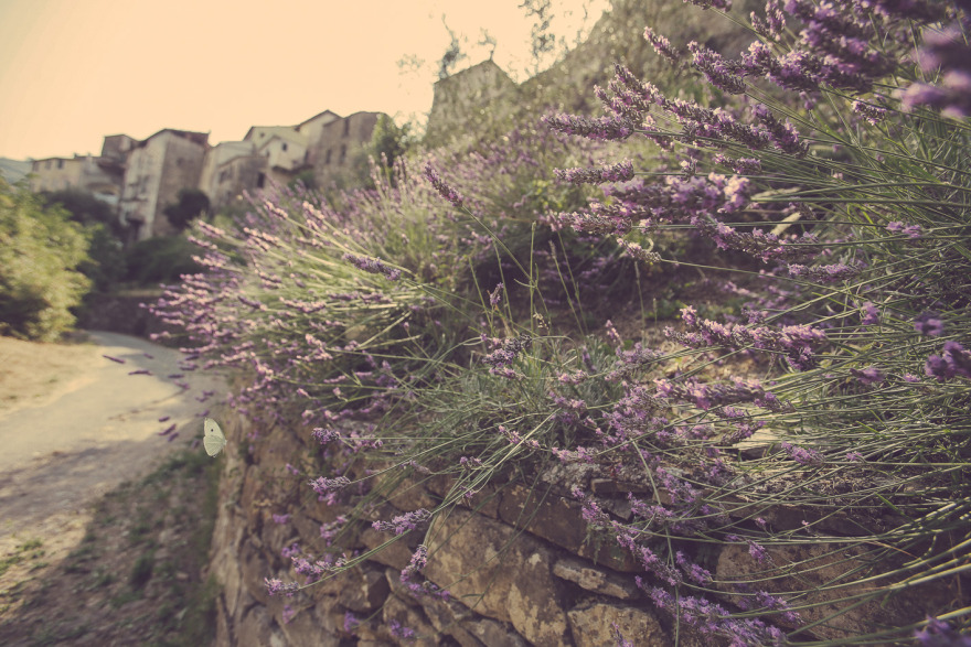 拉托雷 dei 帕波尼农家乐-5