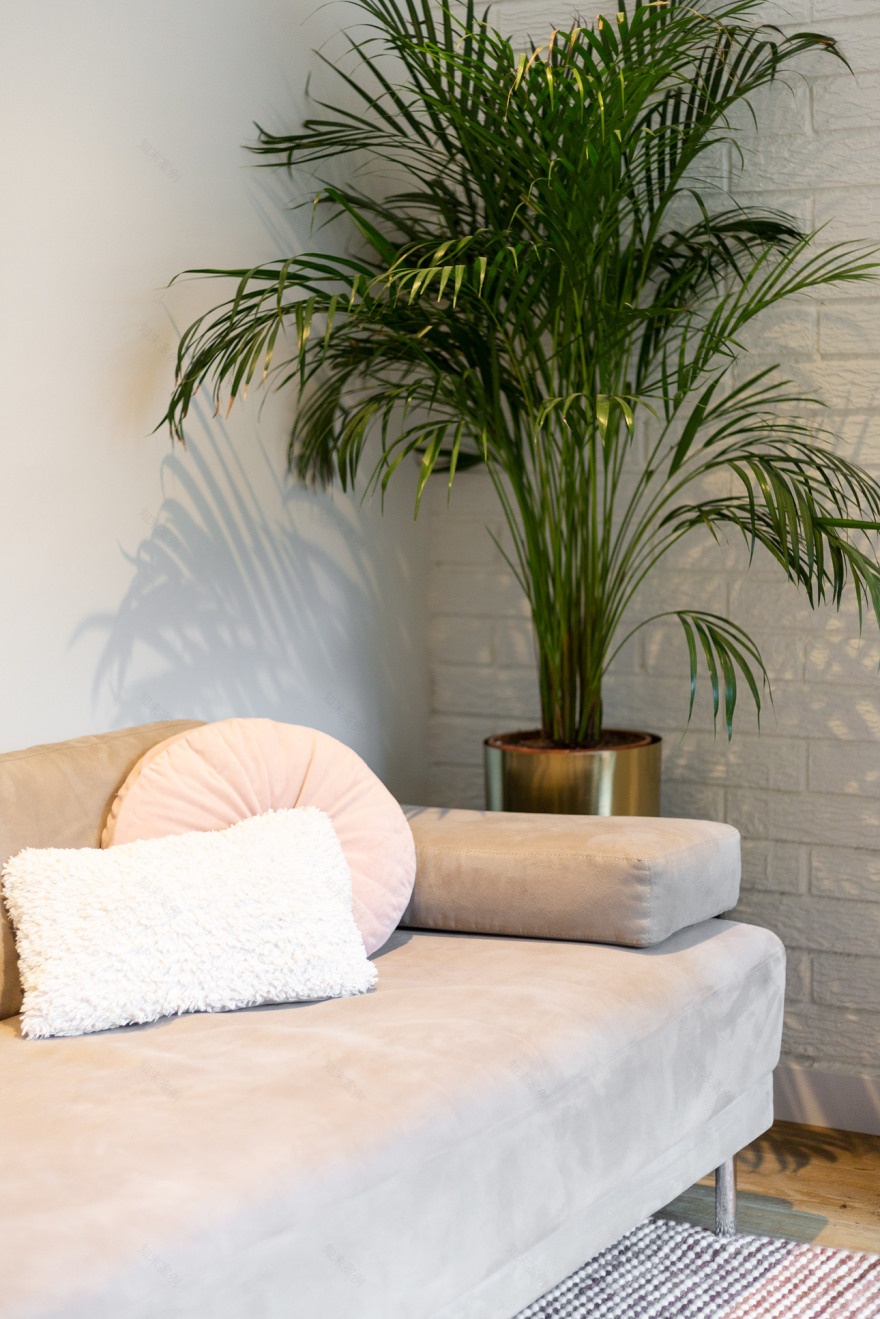 明亮开放的平层住宅设计丨Cláudia de Sousa-11