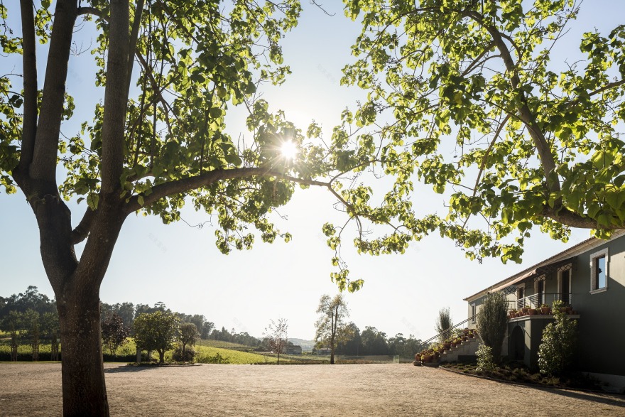 葡萄牙葡萄酒体验酒店·MONVERDE 乡村酒店-34