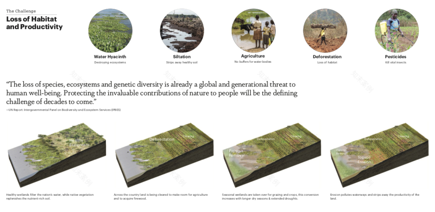 卢旺达“一个健康”理念校园,赋能未来农业领导者-23