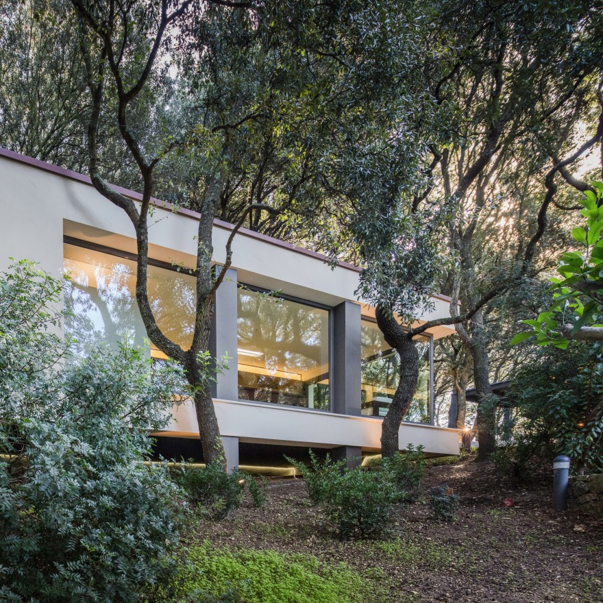 悬浮森林中的别墅-9