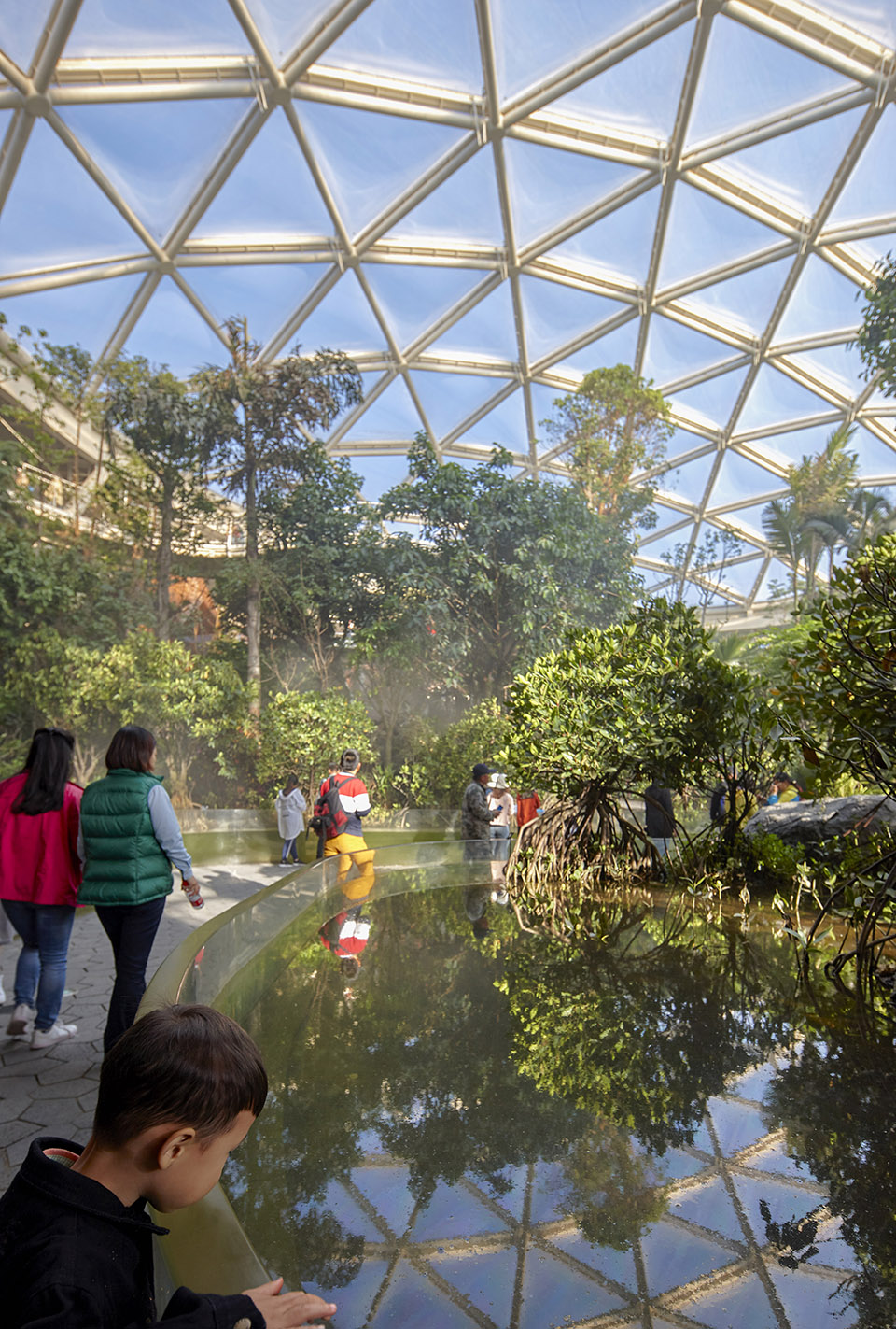 2019北京世界园艺博览会植物馆/“植物，不可思议的智慧”-92