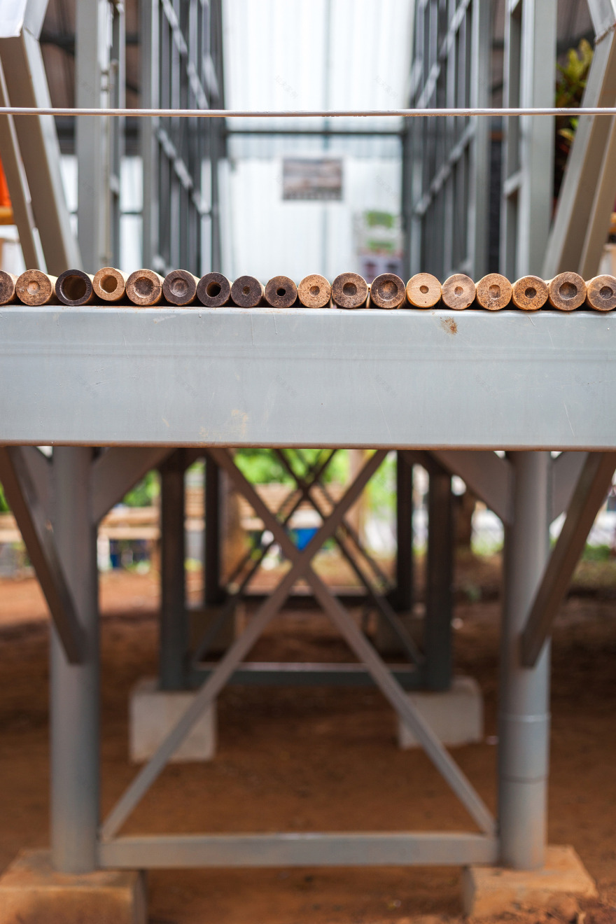 泰国震后重建的生态学校设计-49